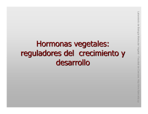 Hormonas vegetales: reguladores del crecimiento y desarrollo
