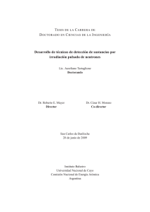 PDF (Tesis) - Repositorio Institucional Centro Atómico Bariloche e