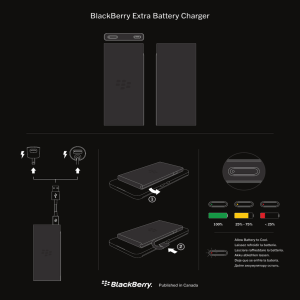 BlackBerry Extra Battery Charger