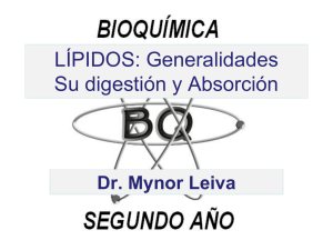 LÍPIDOS: Generalidades Su digestión y Absorción