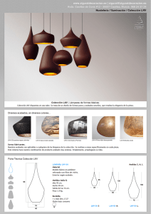 Descargue aquí el PDF de la colección LNV.