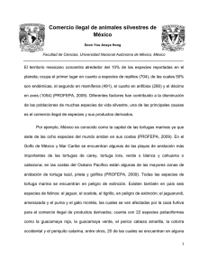 Comercio ilegal de animales silvestres de México