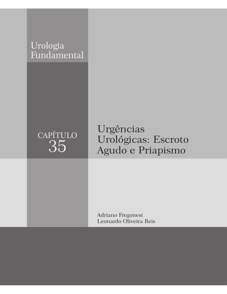Abrir Arquivo Em PDF