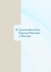 III. Características de las Empresas Mayoristas y Minoristas