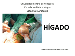 Descargar archivo - Anatomía Vargas UCV