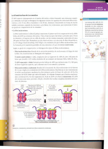 Si - IES "La Azucarera"