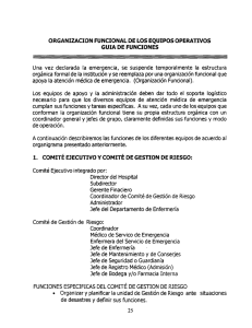 ORGANIZACIÓN FUNCIONAL DE LOS EQUIPOS OPERATIVOS