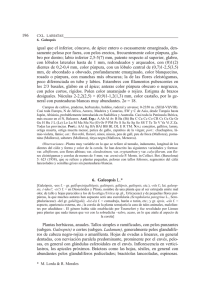 196 igual que el inferior, cóncavo, de ápice entero o escasamente