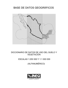 Diccionario de Datos de Uso del Suelo y Vegetación esc. 1