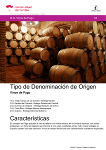 Vinos de Pago - Turismo Castilla