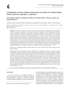Comunidades de fondos blandos submareales de la bahía de
