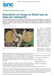 Descubren un hongo en Brasil que se daba por extinguido