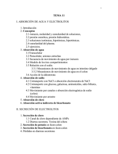 TEMA 11 I. ABSORCIÓN DE AGUA Y ELECTROLITOS
