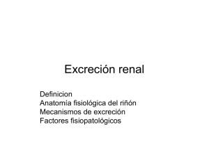 Excreción renal