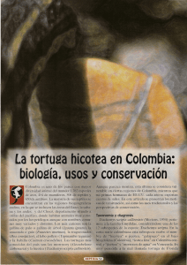 La tortuga hicotea en Colombia: biología. usos y