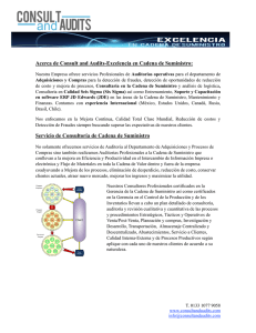 Consultoria en Cadena de Suministro PDF.pages