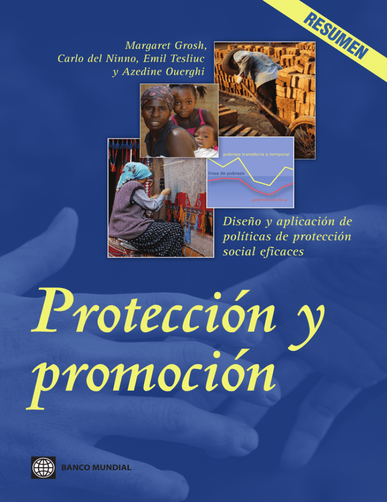 Diseño Y Aplicación De Políticas De Protección Social 6108