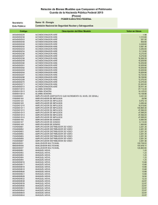 Relación de Bienes Muebles que Componen el Patrimonio Cuenta
