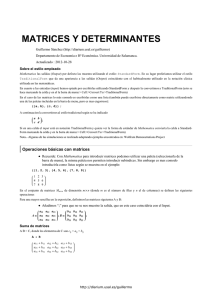Matrices y determinantes - Diarium