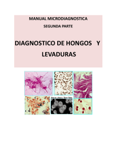 diagnostico de hongos y levaduras