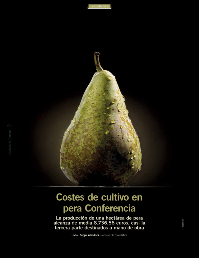 Costes de cultivo en pera Conferencia