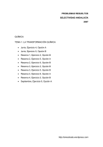 TEMA 1 La Transformación Química 2007