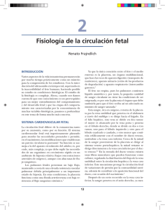 Fisiología de la circulación fetal