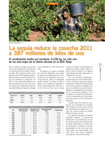 387 millones de kilos de uva, la menor producción de los últimos años