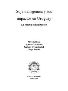 Soja transgénica y sus impactos en Uruguay