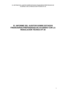 informe del auditor - Consejo Profesional de Ciencias Económicas