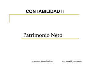 Patrimonio Neto - estudio castiglia