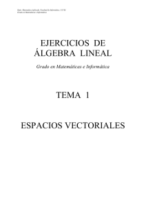 ejercicios de álgebra lineal tema 1 espacios vectoriales