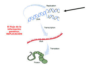 Tema 5.3. Replicación del ADN