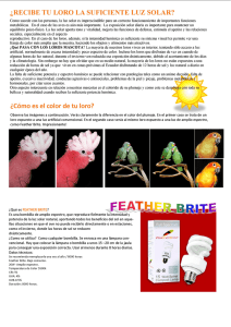 ¿recibe tu loro la suficiente luz solar?