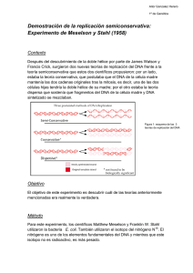 Experimento de Meselson y Stahl