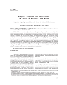 Corporal Composition and Characteristics of Carcass of Araucano