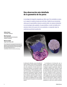 Una observación más detallada de la geometría de los poros