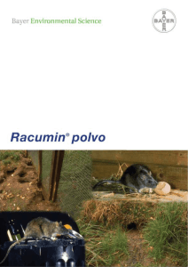 RACUMIN POLVO h1 - Proteccion ambiental