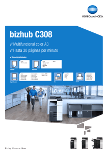 bizhub C308 - Fullsystem