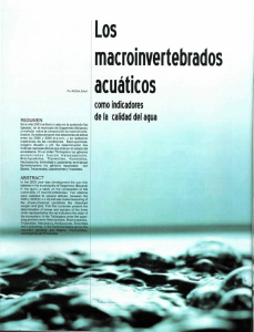 Los macroinvertebrados acuaticos