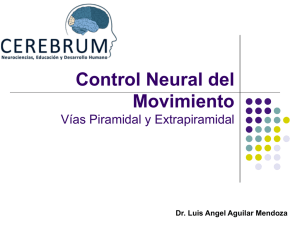 Control Neural del Movimiento