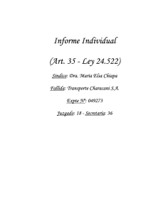 Informe Individual (Art. 35
