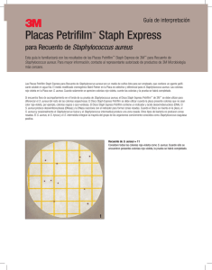 Placas Petrifilm™ Staph Express