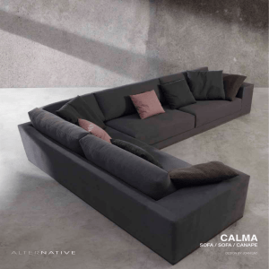 sofa / sofa / canape
