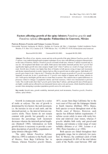 Factors affecting growth of the spiny lobsters Panulirus gracilis and