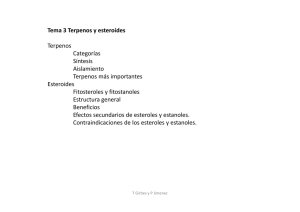 Tema 3 Terpenos y esteroides Terpenos Categorías Síntesis