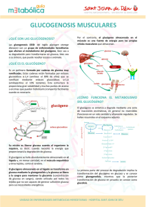 Glucogenosis musculares (castellano)