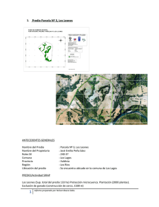 1. Predio Parcela Nº 3, Los Leones