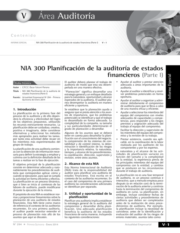 NIA 300 Planificación De La Auditoría De Estados Financieros (Parte L) V