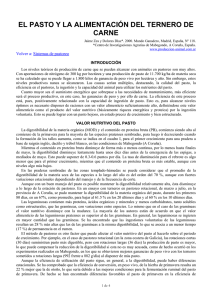 El pasto y la alimentacin del ternero de carne